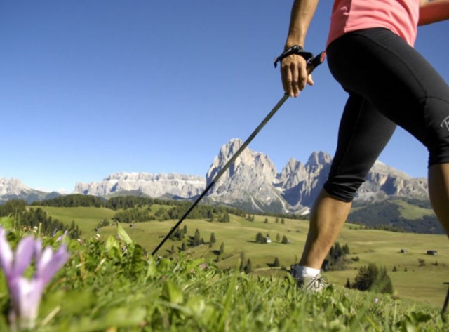  Las montañas detrás de usted 